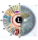 iridology event